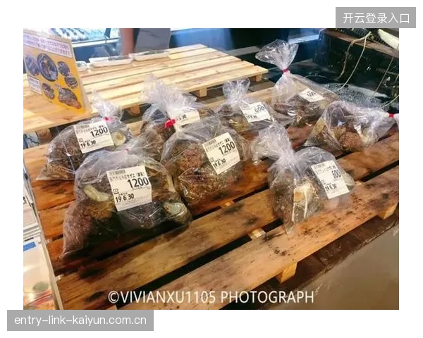 泰山外援日本旅游：从“拄拐晒图”到“山东风情”——为日本游客打造不一样的旅行体验